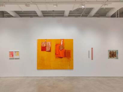 Sergio Sister and Karin Lambrecht, Color clímax, exhibition view. Courtesy of Nara Roesler Gallery