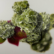 Jared Small, Concomitant. Courtesy of Moremen Gallery