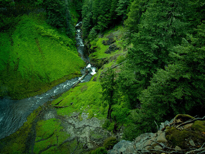 La parte umida del bosco che stilla una sua rugiada