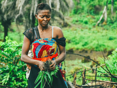 Food production: climate change will have a profound effect not only on the amounts of food available, but also on the economies of the countries relying on agriculture