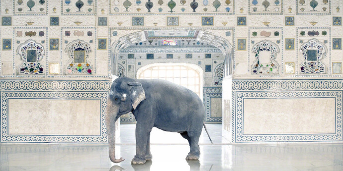 Karen Knorr. Courtesy of Jackson Fine Art 