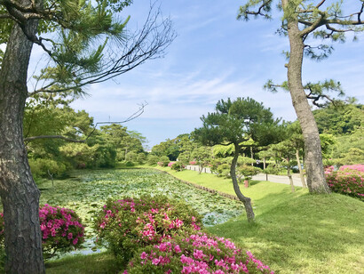Yokohama. Sankeien Garden © Alma Reyes