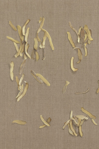 Helene Appel
Potato Peel, 2013
Oil on canvas
67 x 58.5 cm
AP-APPEH-00090 courtesy the artist and The Approach, London