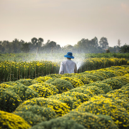 Para o agroprodutor, é importante analisar a estratégia de produção do negócio