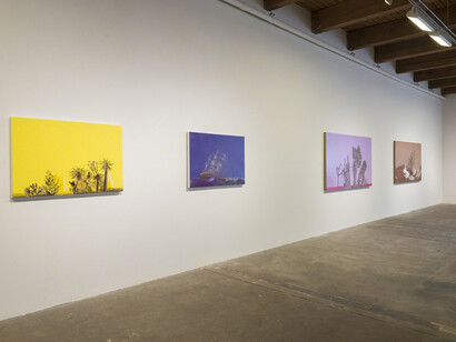 Whitney Bedford. Courtesy of Carrie Secrist Gallery