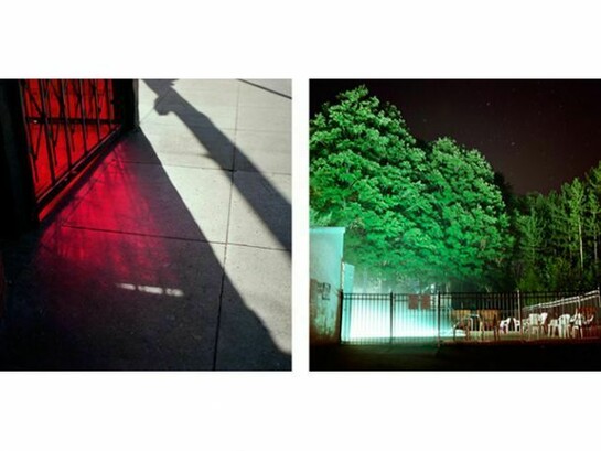 Colleen Plumb, The Mission, 2009, Pool Trees, 2003, 18.5 x 18.5 inches, Archival pigment prints, ed. 10