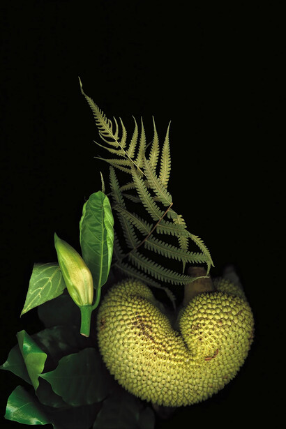 Luzia Simons, Casa de vidro 05, 2024. Courtesy of Galerija Fotografija