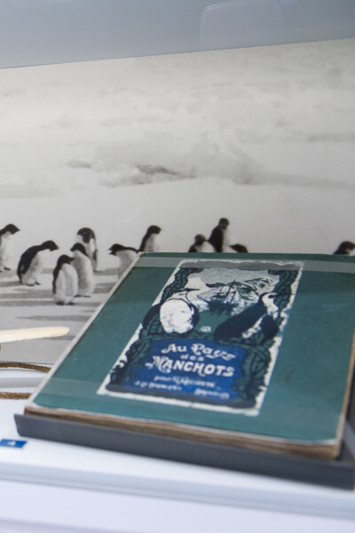 Antarctica. Courtesy of Royal Army and Military History Museum
