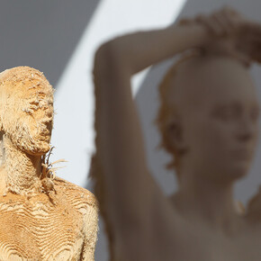 Aron Demetz. Memoridermata
