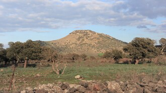 La sua vera fortuna era stata capire fin da subito quale fosse la direzione da seguire, restando fedele a quella luce interiore senza smarrirla mai