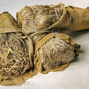 Paper technology. Courtesy of German Museum of Technology