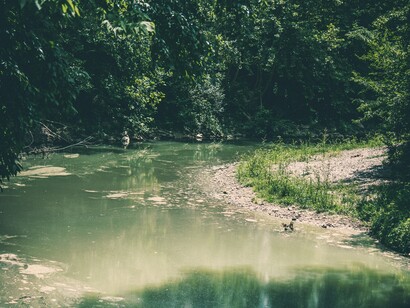 Il potere rigenerativo della natura: la storia di Cleveland e il suo fiume come esempio di rinascita