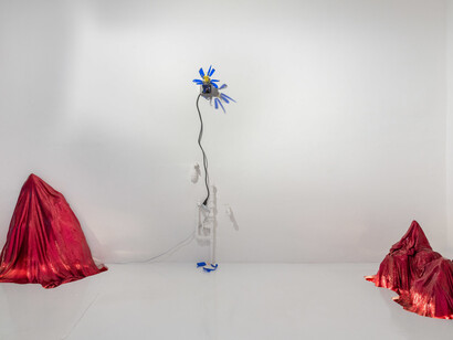 Romeo Gómez López, Life on Mars, vista de exhibición. Cortesía de Galería Travesía Cuatro 