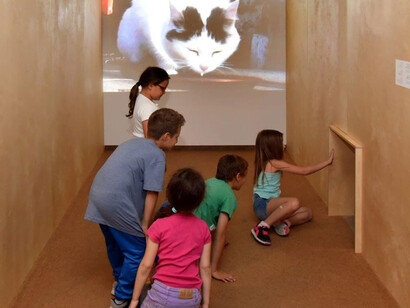 Cats and Dogs. Courtesy of Israel Museum