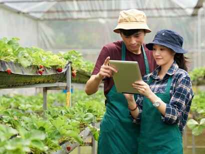 Two farm coworkers standing in a greenhouse, looking at a tablet screen that displays AI-driven meal planning and genomic nutrition insights, connecting agriculture with personalized, DNA-based diets