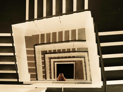 Scatto di scalinata con effetto geometrico a spirale: "Il caos apre le porte della dissonanza cognitiva, cioè il disagio provocato dal conflitto interno tra valori, convinzioni, atteggiamenti e comportamenti agiti e informazioni esterne"