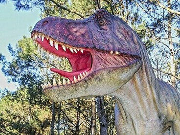 Dino Parque de Lourinhã. Foi devido e estas condições geológicas extraordinárias que se preservaram, de forma excecional esqueletos, ossos, dentes, ovos e até ninhos fossilizados, transformando a Lourinhã numa verdadeira “cápsula do tempo”