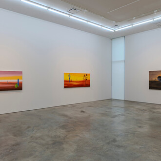 Miguel Angel Rios, Merged with vastness, exhibition view. Courtesy of Sicardi | Ayers | Bacino Gallery
