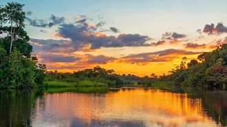 Parque nacional del Manu, espacio natural protegido localizado en el sureste del Perú