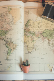 Your Travel Bug