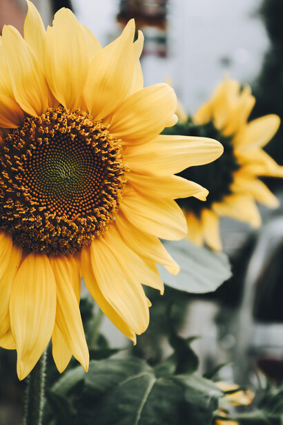 Las oportunidades reales nacen cuando dejamos de postergar y decidimos actuar desde el ahora