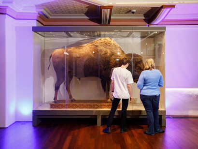WA treasures, exhibition view. Courtesy of Western Australian Museum