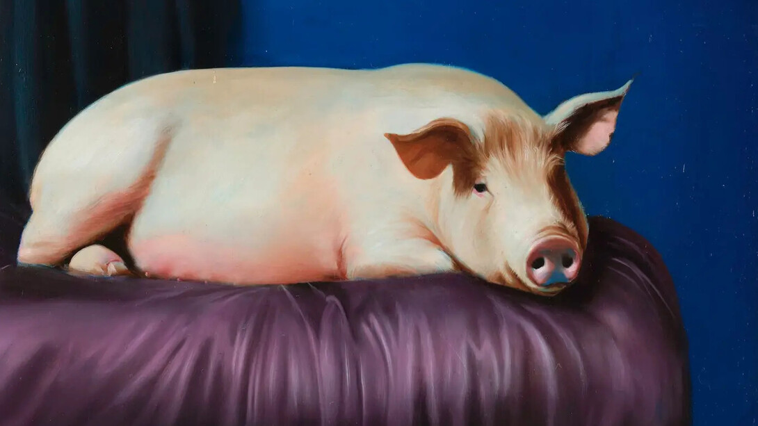 Leisure herd, artwork in exhibition. Courtesy of Sullivan+Strumpf