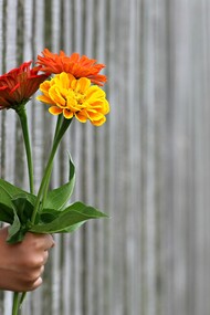 La primavera, uno splendido inizio