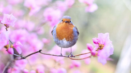 Questo è il momento per ascoltare i nostri sensi e stare in natura