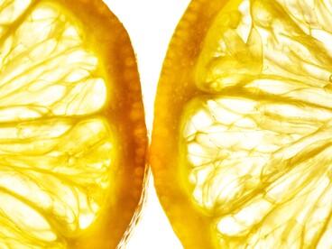 La sua gradazione alcolica varia generalmente tra il 25% e il 32%