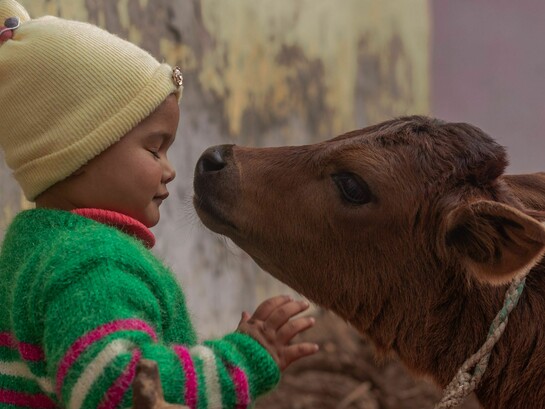 Humanity naturally experiences deep feelings of love and profound gratitude