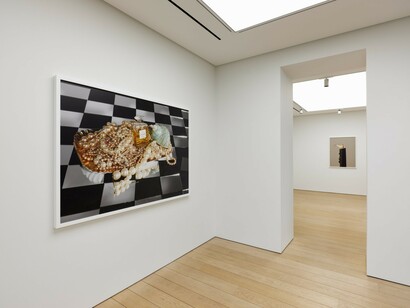 Roe Ethridge, Rude in the good way, exhibition view. Courtesy of Gagosian 