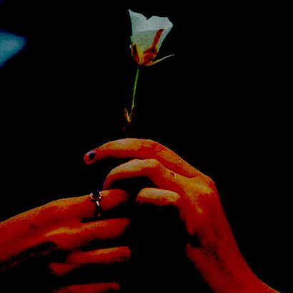 Acerca de la condición humana