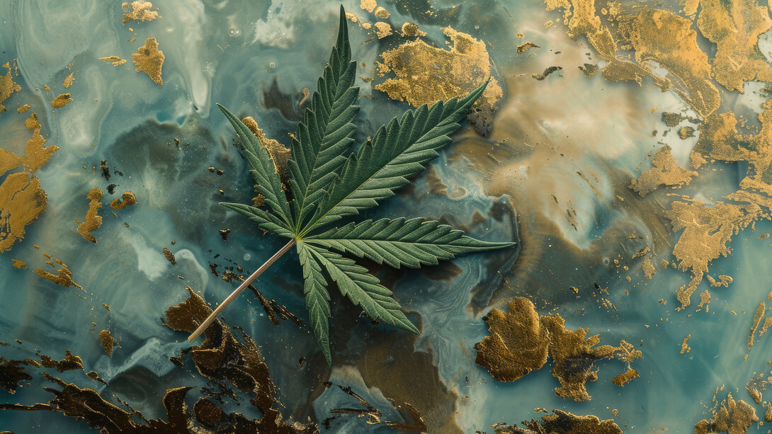 A marijuana leaf resting atop a surface reminiscent of a map, representing more countries accepting the benefits of the plant