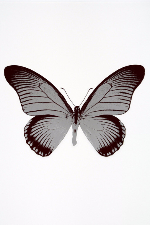 Damien Hirst. Courtesy of Samuel Owen Gallery