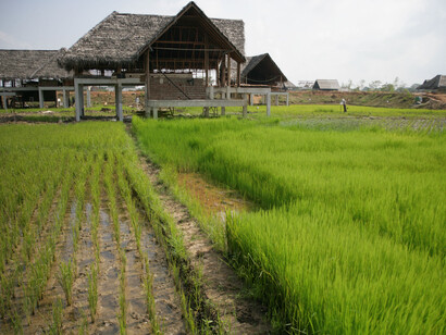 Rehabilitation of paddy fields during construction © Gehan de Silva Wijeyeratne