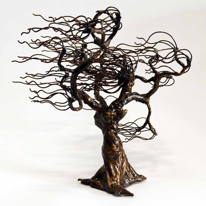Williams Gonzalez, Vieja Naturaleza, Iron, 9" x 14" x 14"
