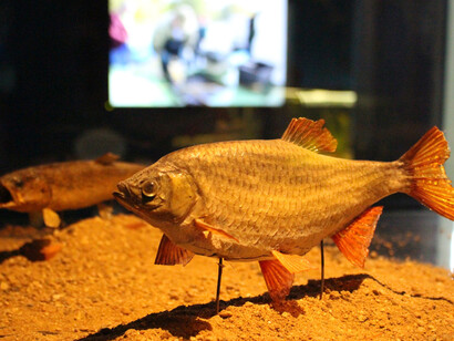 Exhibition of the Lednice–Valtice Landscape. Courtesy of National Museum of Agriculture