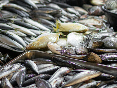 Fish on display at the market