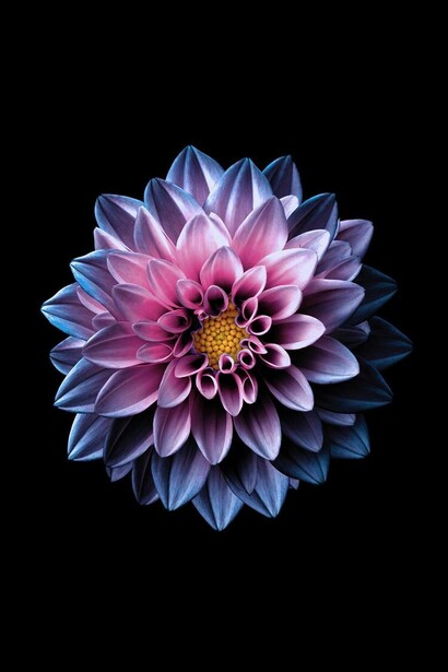 Essere in sintonia con i cicli della natura significa anche trovare l’ispirazione giusta per orientare le tue scelte, in armonia con quanto ti circonda