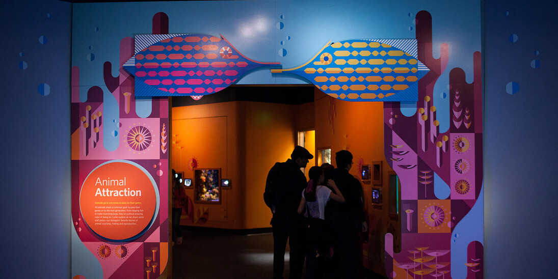 Animal Attraction. Courtesy of California Academy of Sciences