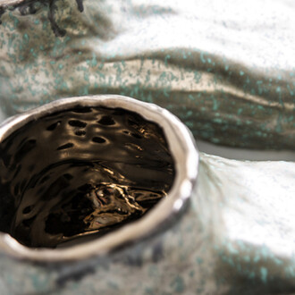 Taixunia. Courtesy of Dimora Artica