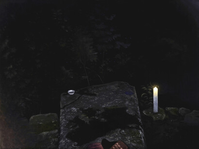 John Stark, 'Prey', 2014, Oil on wood panel, 22 x 30 cm