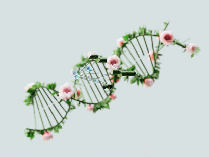 La espiral que percibimos en la tercera dimensión es muy extrema en su aspecto positivo y negativo porque la contracción es muy estrecha