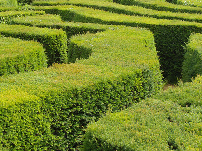 Estar expuestos a los estímulos de la información tiene tanto el potencial de transformarse en conocimiento, como la posibilidad de producir tontería, confusión y conflicto