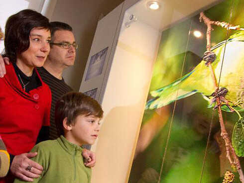 BiodiverCITY. Courtesy of Royal Belgian Institute of Natural Sciences