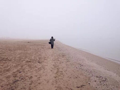 Chris Yan, field recordist