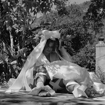 Tourmaline, Sweptail, 2022. Courtesy of the Carpenter Center for the Visual Arts