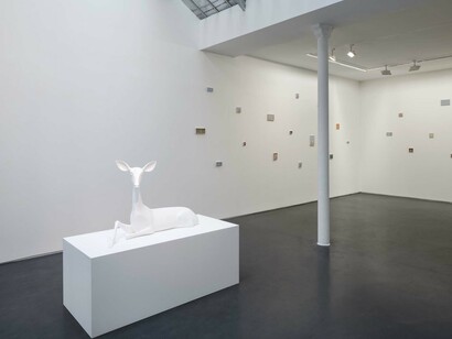 Miguel Branco, Spectres, Exhibition view. Courtesy of Jeanne Bucher Jaeger