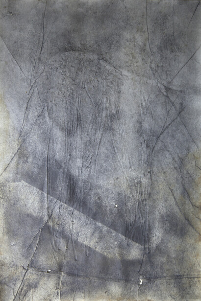 Edgar Massul  *das tuas margens, algumas plantas espremidas, 2014 (séries)
